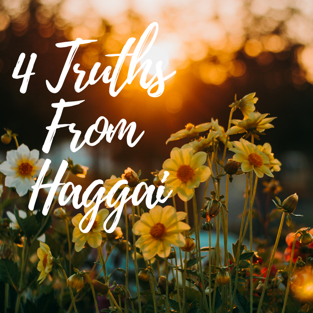 4 Truths From Haggai