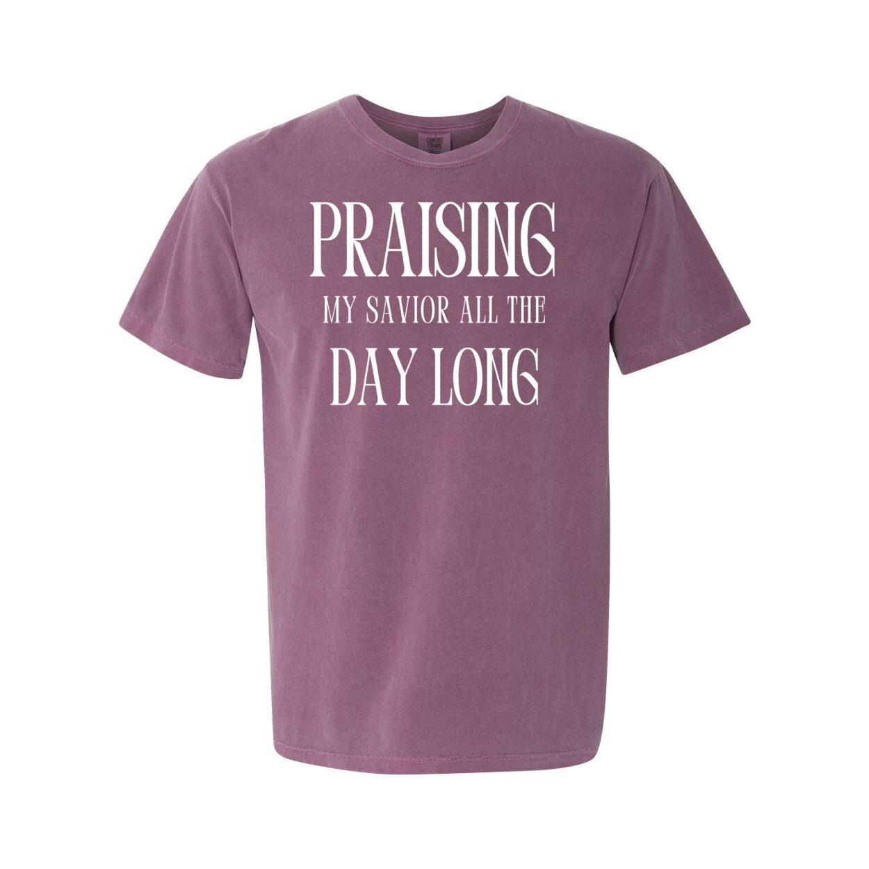 Praising My Savior All the Day Long Christian T Shirt